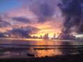 DSC01343.jpg