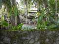 DSCN0678.jpg