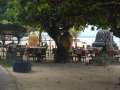 DSCN0700.jpg