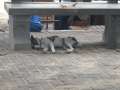 DSCN0707.jpg
