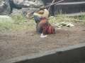 DSCN0721.jpg
