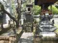 DSCN0726.jpg