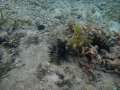 DSCN0763.jpg