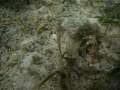 DSCN0771.jpg