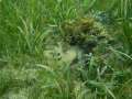 DSCN0855.jpg