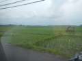 DSCN0868.jpg
