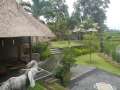 DSCN0874.jpg