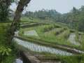 DSCN0905.jpg