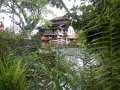 DSCN0963.jpg