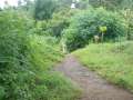 DSCN1032.jpg