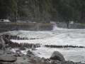 DSC01001.jpg