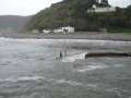DSC01010.jpg