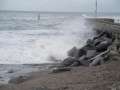 DSC01011.jpg