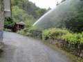 DSC01020.jpg
