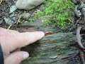 DSC01057.jpg