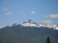 DSC00650.jpg