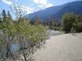 DSC00685.jpg