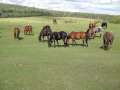 DSC00749.jpg