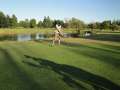 DSC00757.jpg
