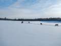 DSCN0344.jpg