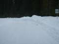 DSCN0499.jpg