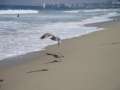 DSC00252.jpg