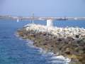 DSC00275.jpg